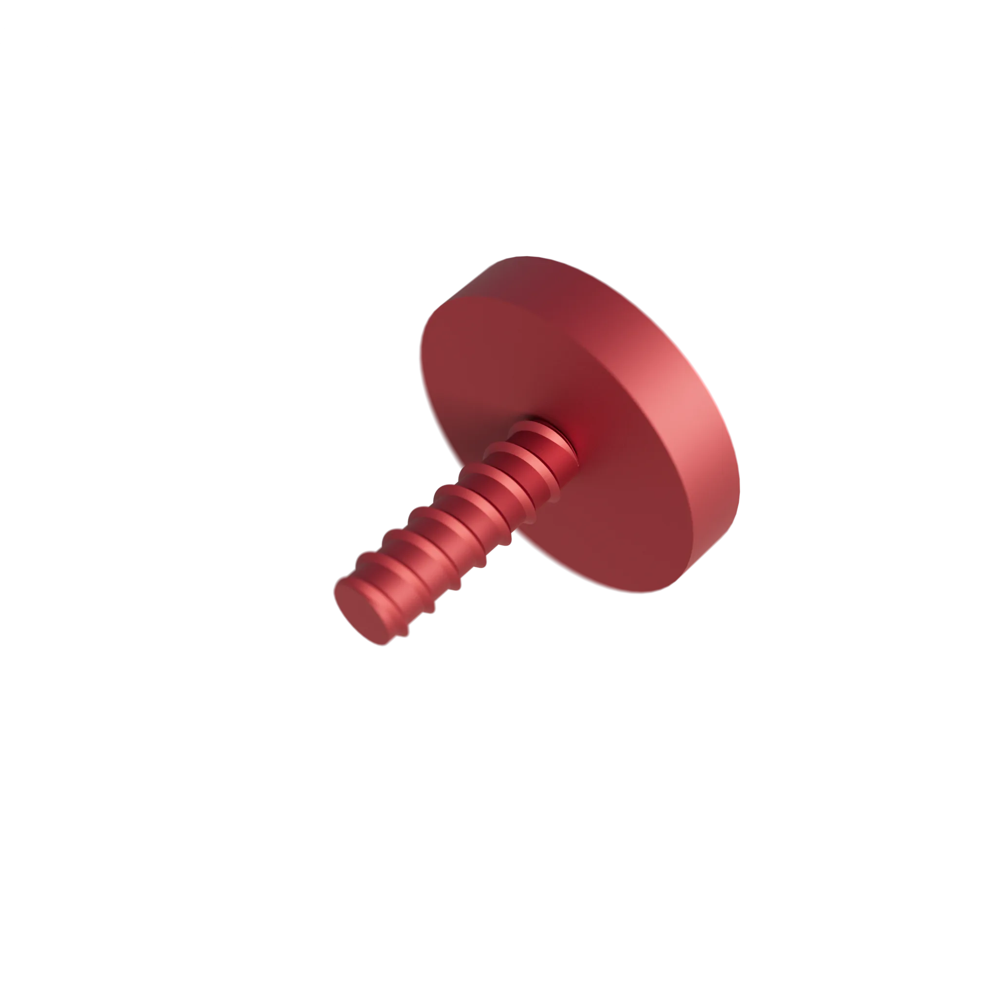 Screw